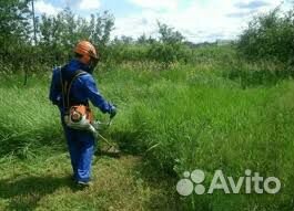 Покос травы, спил деревьев