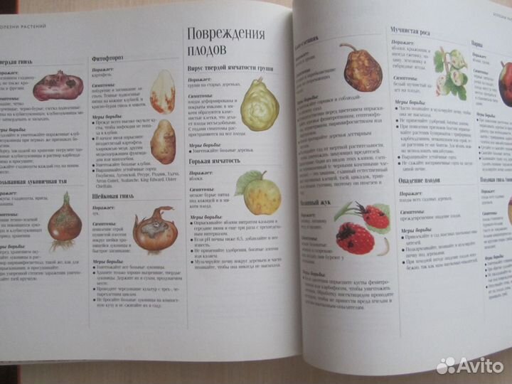 Книга советов для сада