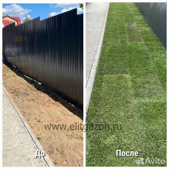 Рулонный газон, укладка, продажа