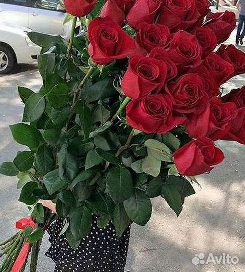 Высокие Розы Гиганты Доставка Круглосуточно