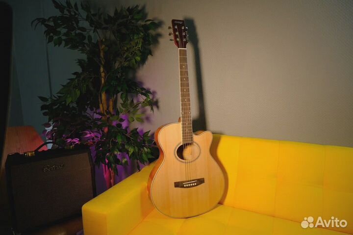Акустическая Гитара и Чехол