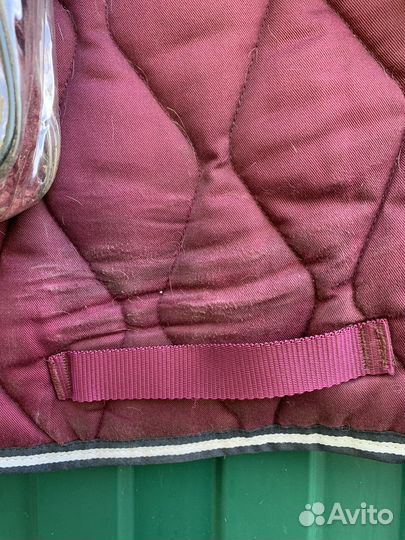 Вальтрап для лошади