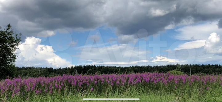 Участок 50 сот. (ИЖС)