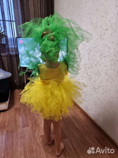 Костюм репки