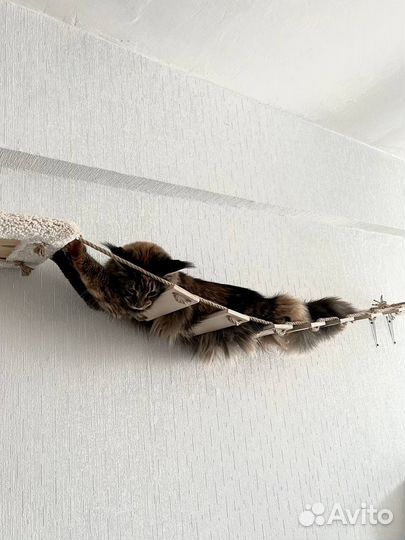 Настенный игоровой комплекс для кошек Новый