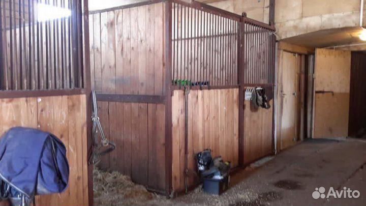 Постой для лошади