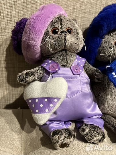 Семья красивых котов