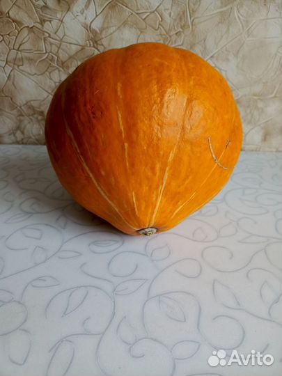 Тыква, корень хрена
