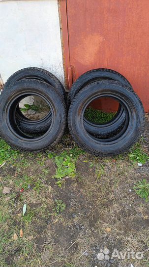 Viatti Bosco Nordico V-523 215/65 R16