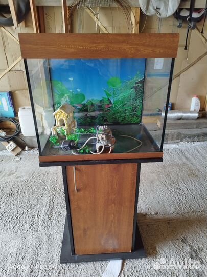 Аквариум