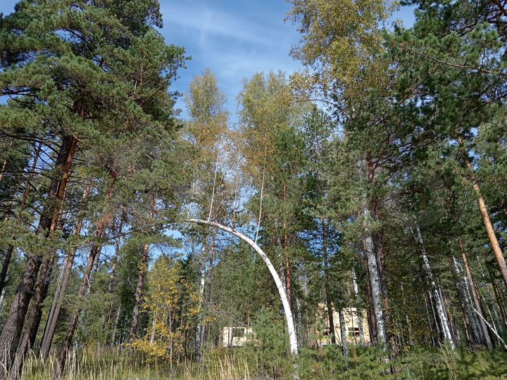 Коттедж 105 м² на участке 10 сот.