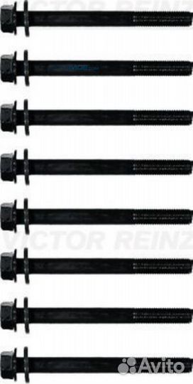 Комплект болтов головки блока 143235501 victor rei