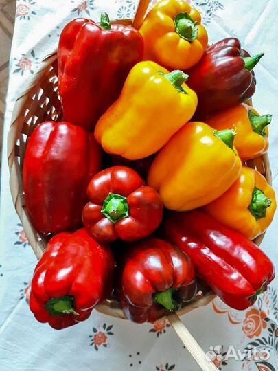 Биогумус жидкий концентрат 3 л