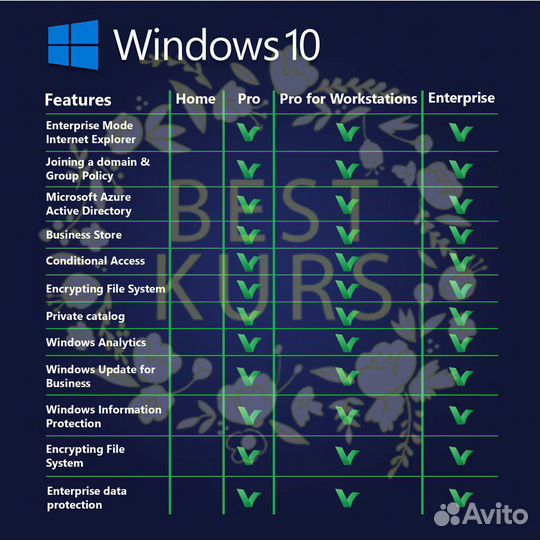 Windows 10 Professional for Workstations HZV-00073