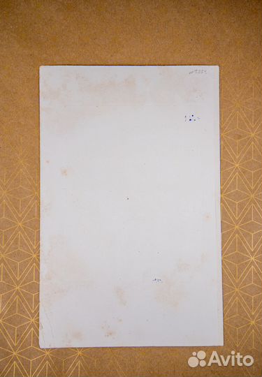 Старинный портрет императора Александра Второго