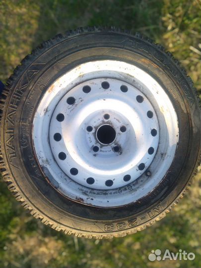 Volcano Longitude 195/65 R15