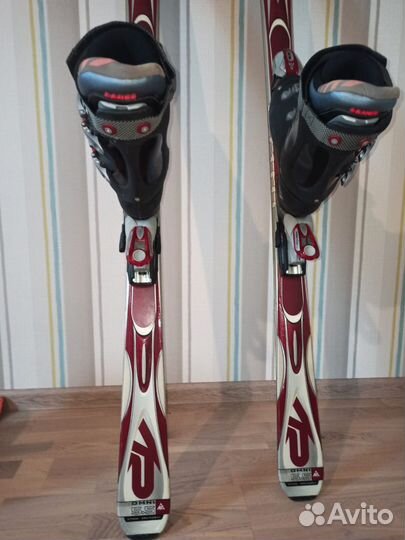 Горные лыжи