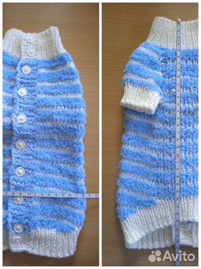 Одежда для животных