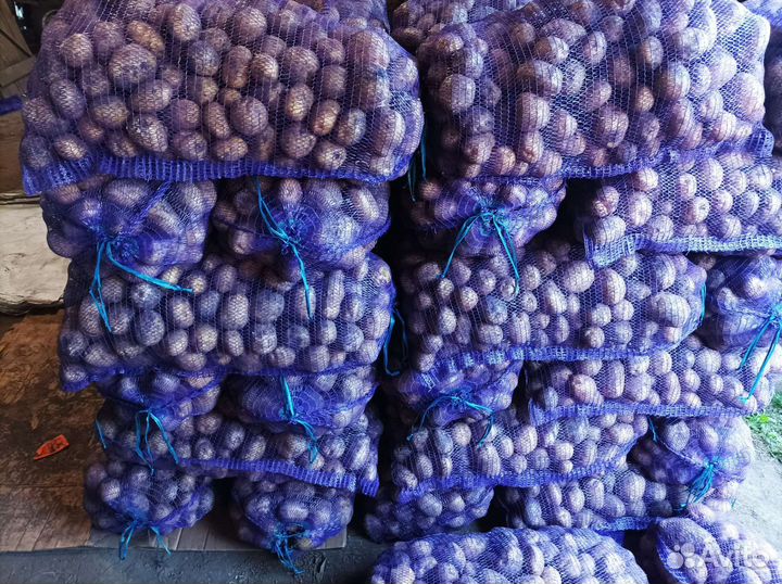 Картофель новый урожай