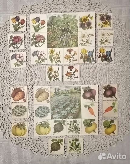 Ботаническое лото Зелёный друг