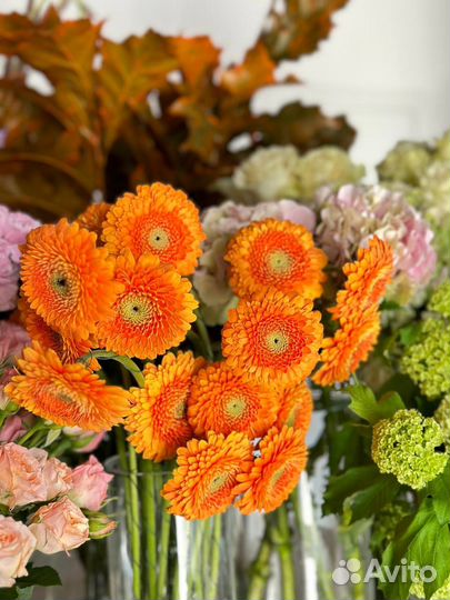 Цветы и букеты с доставкой