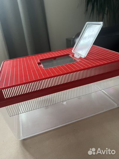 Террариум для улиток вместе с кормом