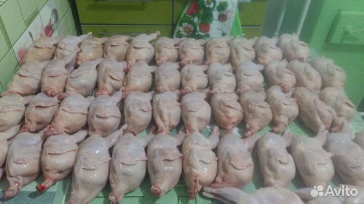 Мясо перепелов