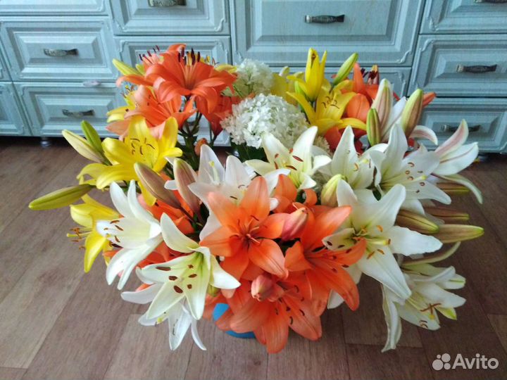 Многолетние садовые растения