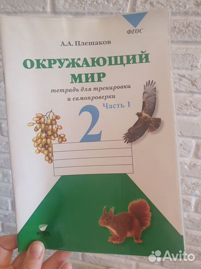 Окружающий мир 2 класс плешаков /для тренировки