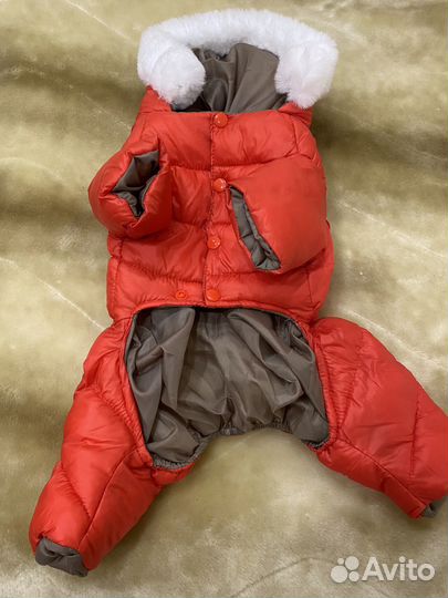 Одежда для собак мелких пород