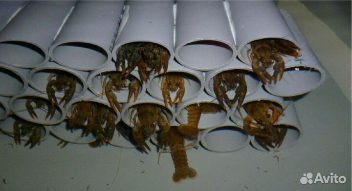 Садки для водоёмов(сдв)