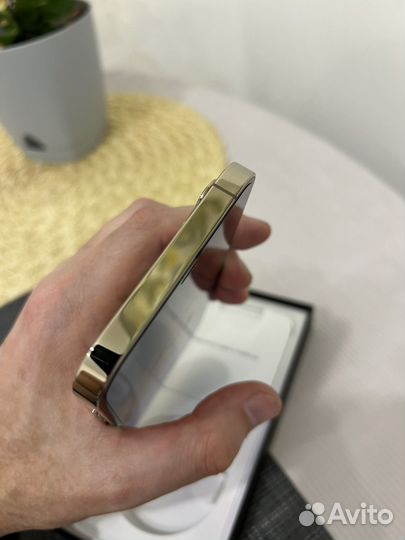 iPhone 12 Pro Max, 256 ГБ
