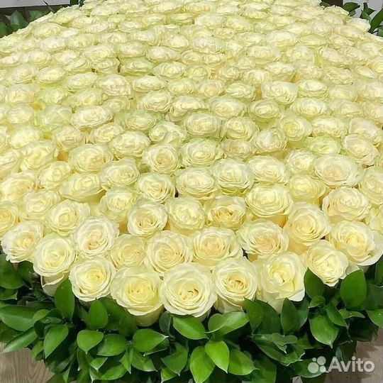 Розы в корзине на 14 февраля /Цветы/Доставка