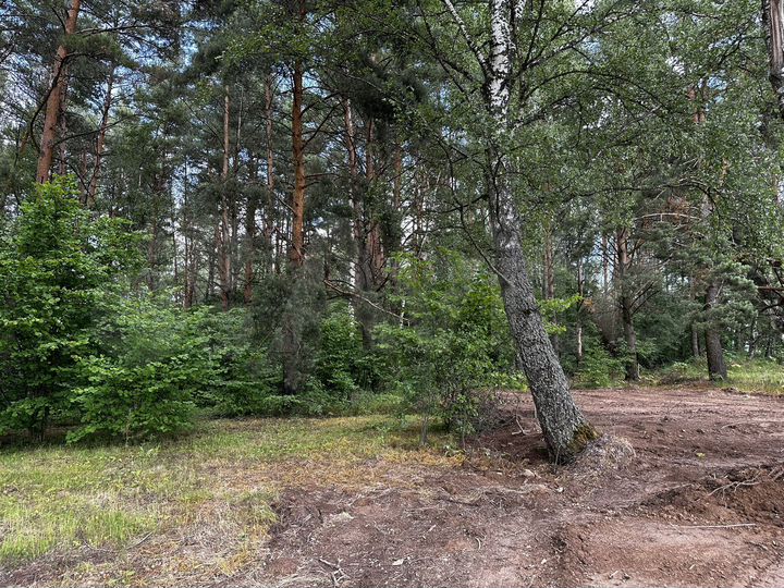 Участок 8 сот. (ИЖС)