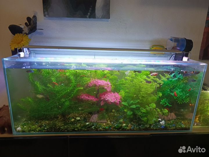 Аквариум 100л