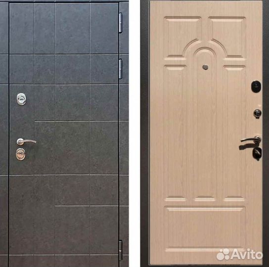 Входные двери 205 на 860