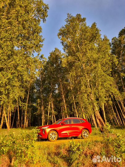 Haval Jolion 1.5 AMT, 2022, 25 000 км