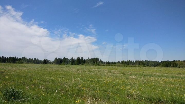 Участок 4,4 га (СНТ, ДНП)