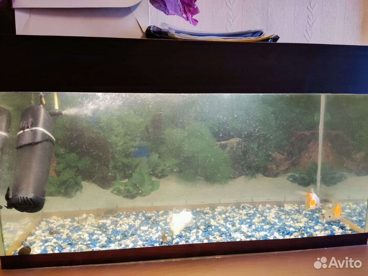 Аквариум на 100 литров