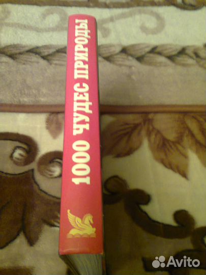 1000 чудес природы