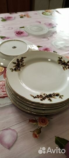 Тарелки из СССР