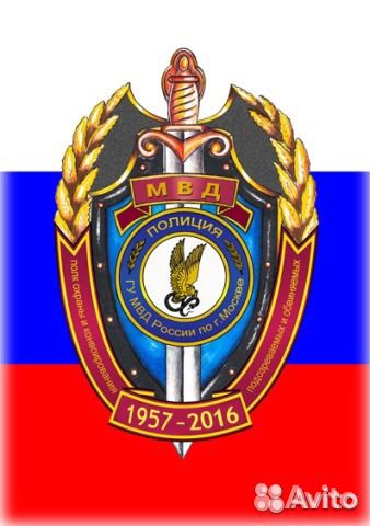 Полицейский, полицейский (водитель)