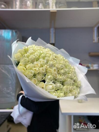 Роза 21.31.51.101. Ароматная роза