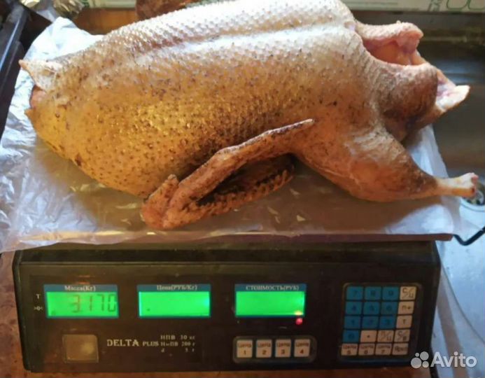 Продам мясо бройлера домашнее