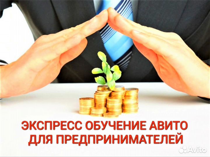 Авитолог консультация обучение