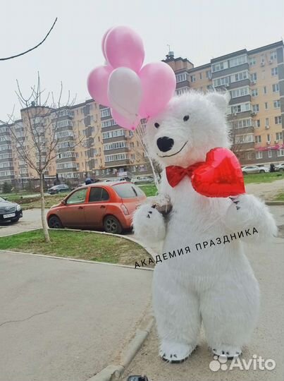 Белый мишка танцующий поздравление, выписка