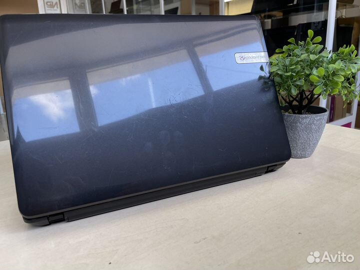 Бюджетный ноутбук Packard Bell