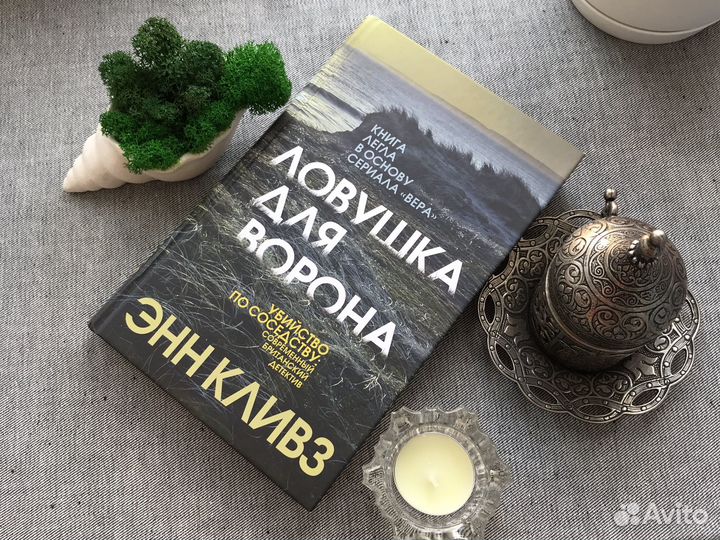 Энн Кливз «Ловушка для ворона»