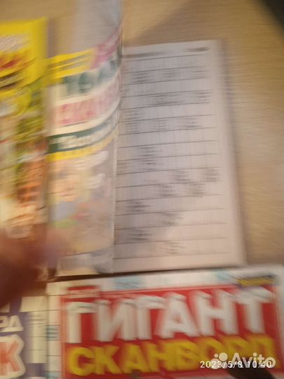 Журнал сканвордо