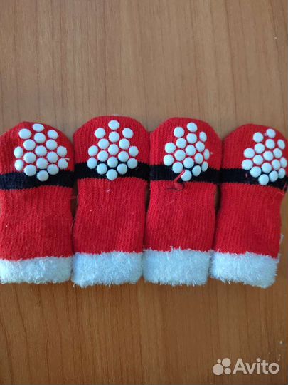 Носочки для чихуахуа